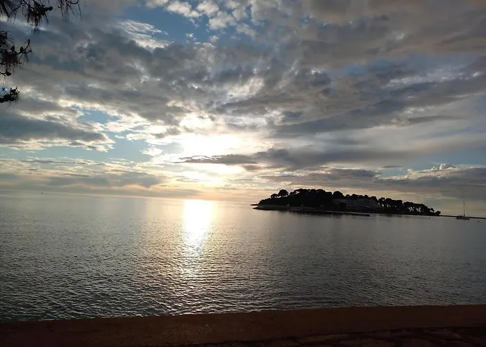 Alba Sanja I Teran