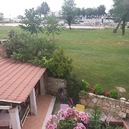 Alba Sanja I Teran *