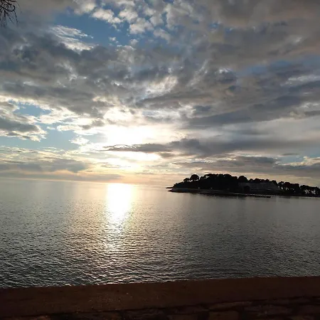 Alba Sanja I Teran